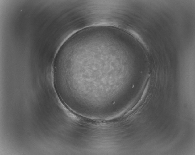 X0000072521476200607141145