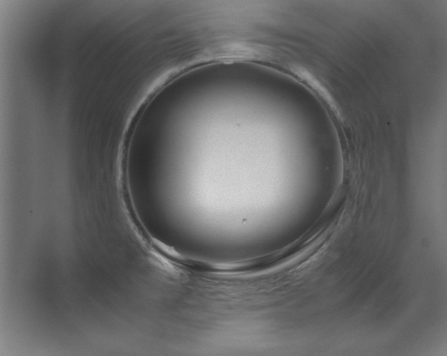 X0000072521477200607141145