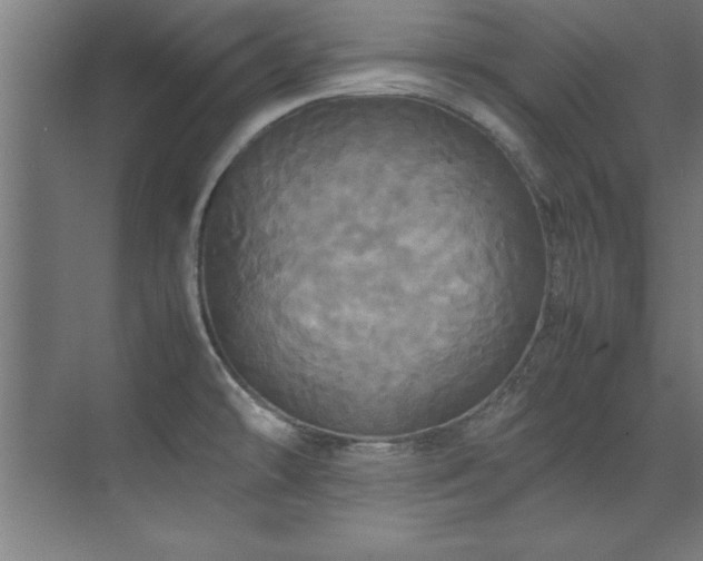 X0000072521478200607141145