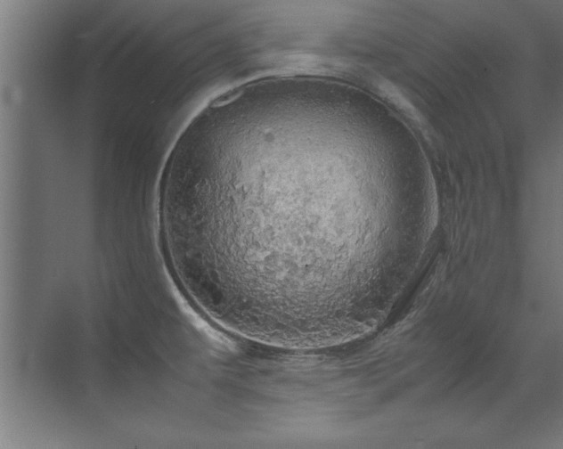 X0000072521479200607141145