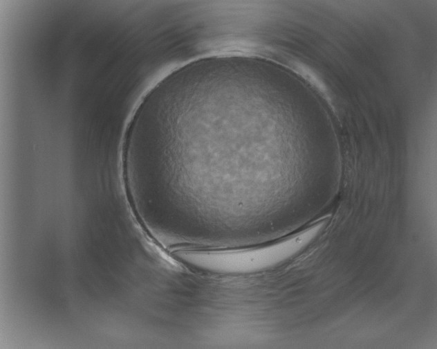 X0000072521480200607141145