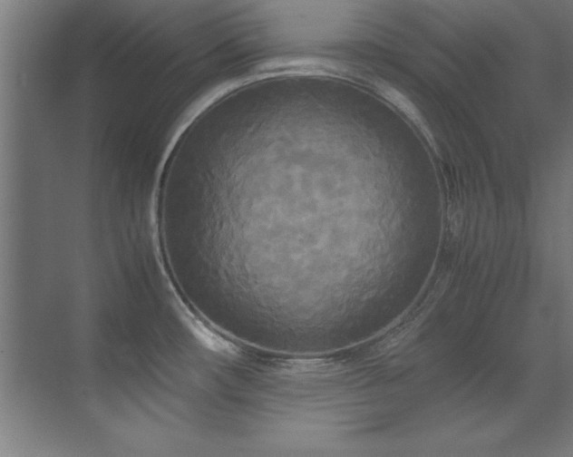 X0000072521482200607141145