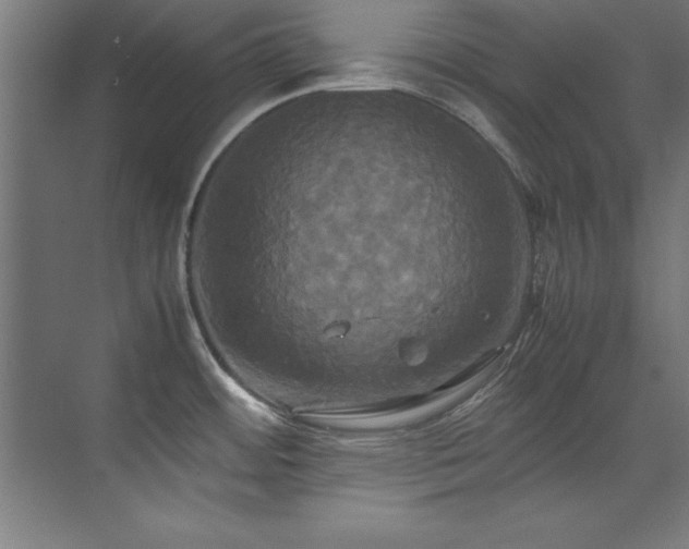 X0000072521484200607141145