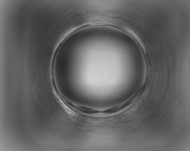 X0000072521485200607141145