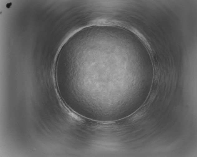 X0000072521486200607141145