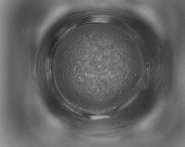 X0000072521487200607141145