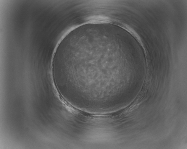 X0000072521488200607141145