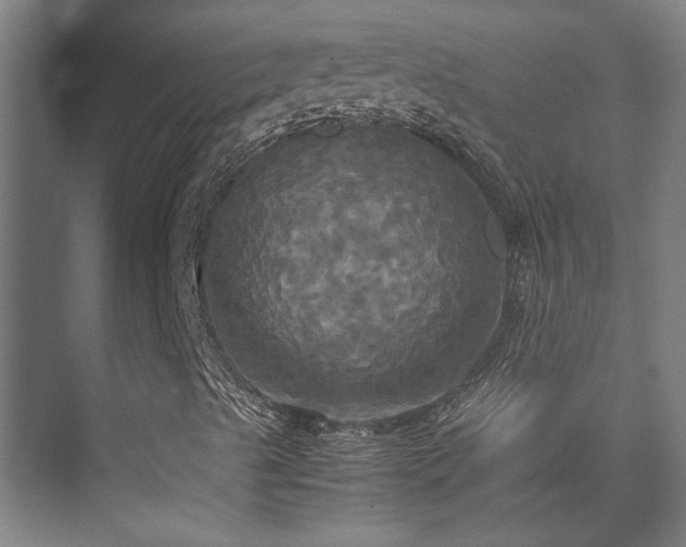 X0000072521489200607141144