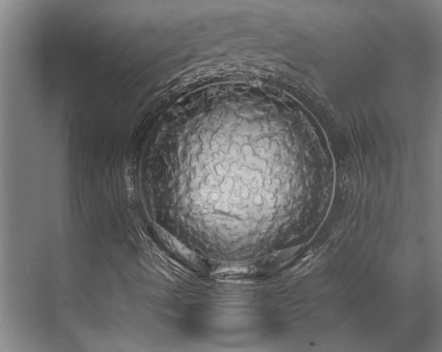 X0000072521490200607141144