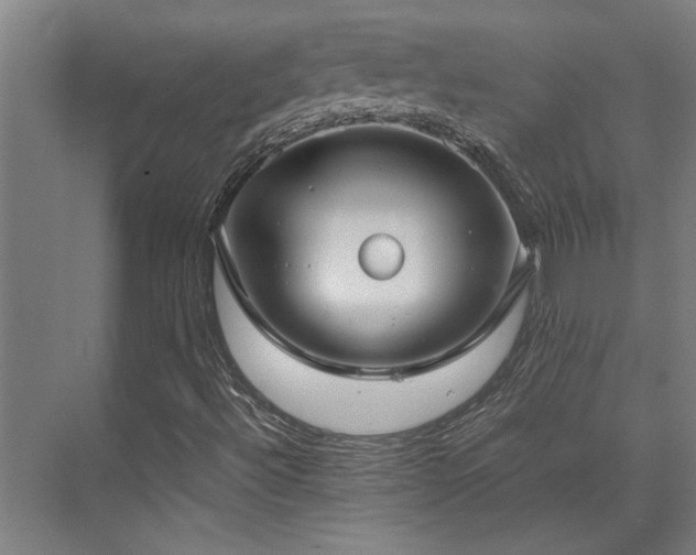 X0000072521492200607141144