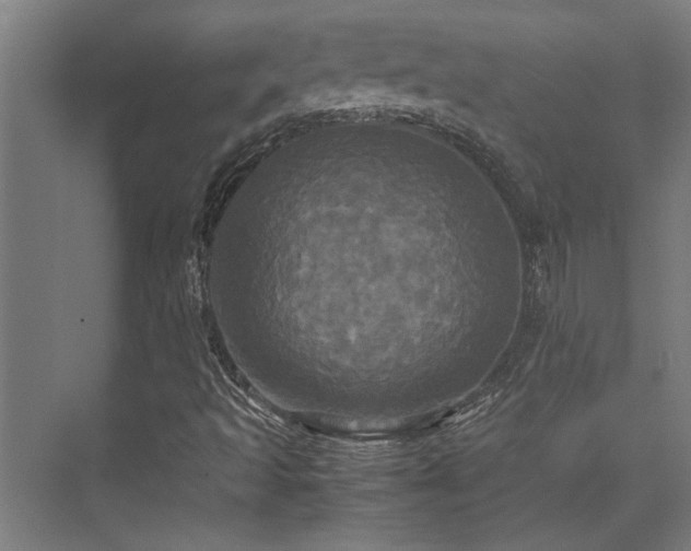 X0000072521493200607141144