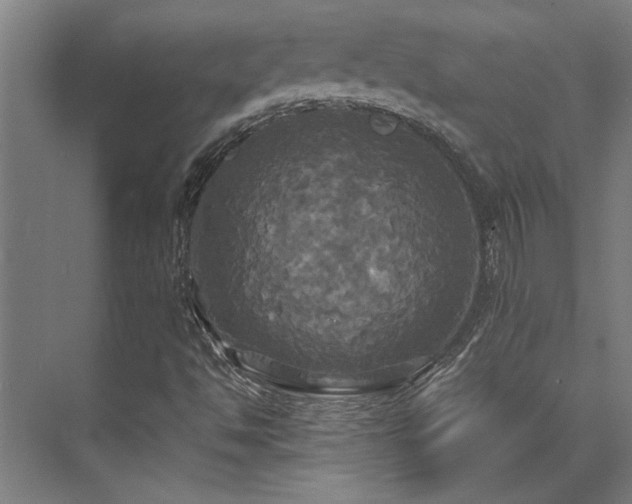 X0000072521494200607141144