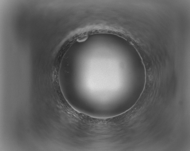 X0000072521495200607141144