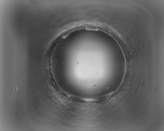 X0000072521496200607141144