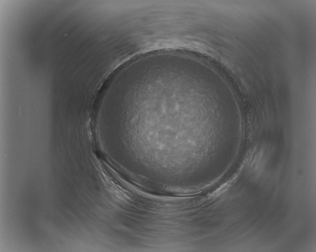 X0000072521497200607141144