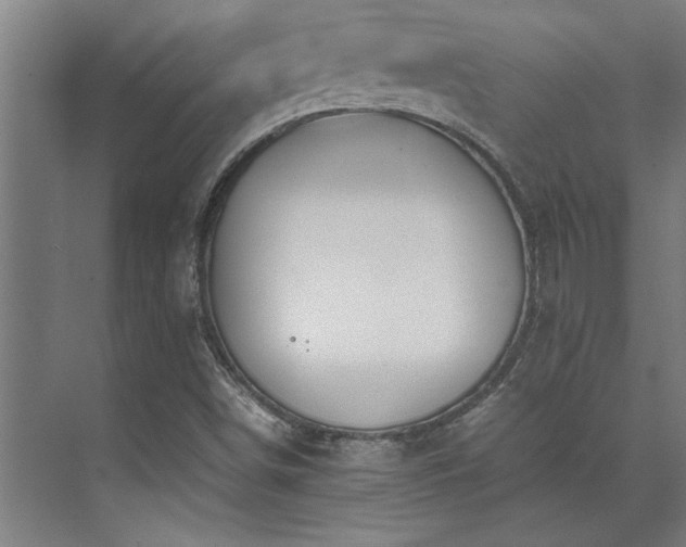 X0000072521498200607141144