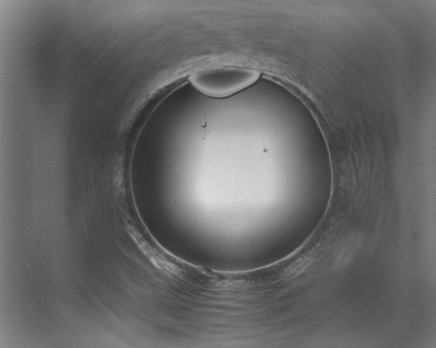 X0000072521499200607141144