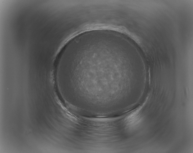 X0000072521501200607141144