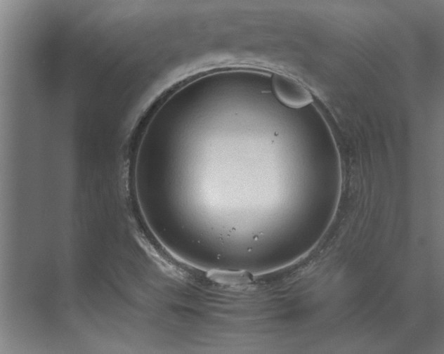 X0000072521503200607141144