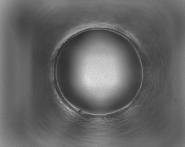 X0000072521504200607141144