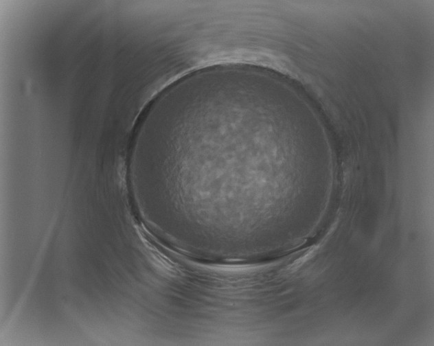 X0000072521505200607141144