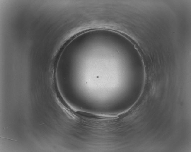 X0000072521507200607141144