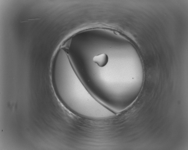 X0000072521508200607141144