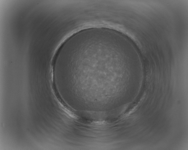 X0000072521509200607141144