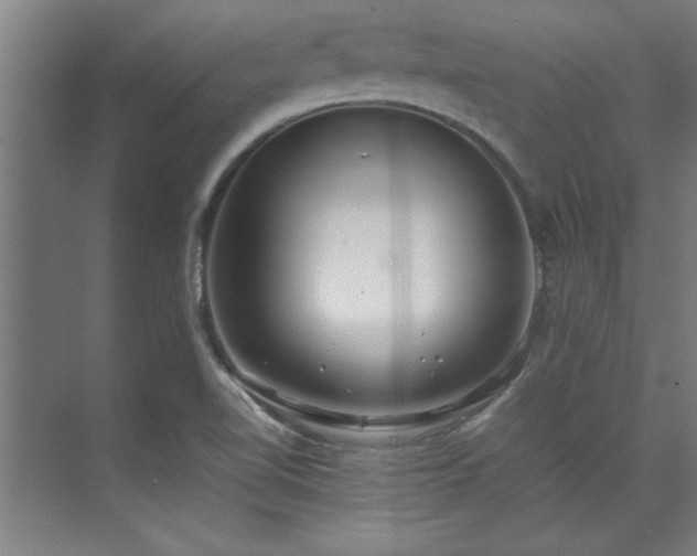 X0000072521510200607141144