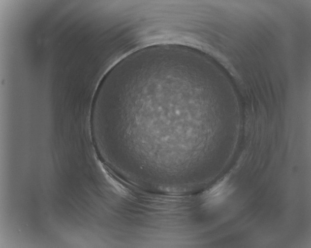 X0000072521513200607141144