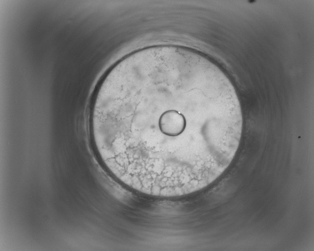 X0000072521514200607141144