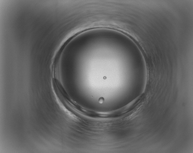 X0000072521515200607141144