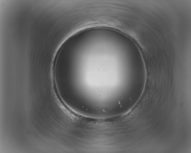 X0000072521516200607141144