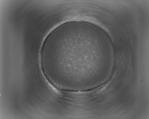 X0000072521517200607141144