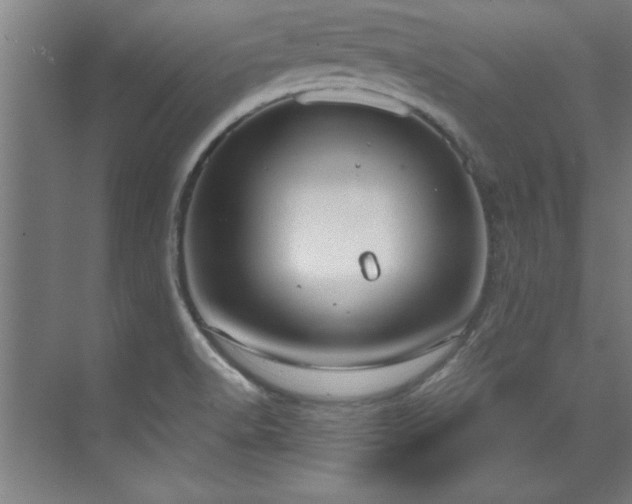 X0000072521518200607141144