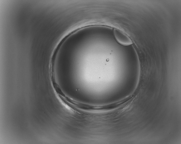 X0000072521519200607141144