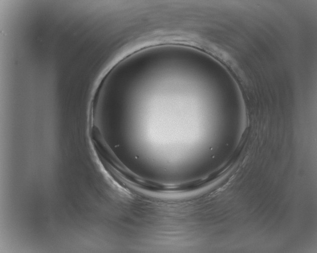 X0000072521520200607141144