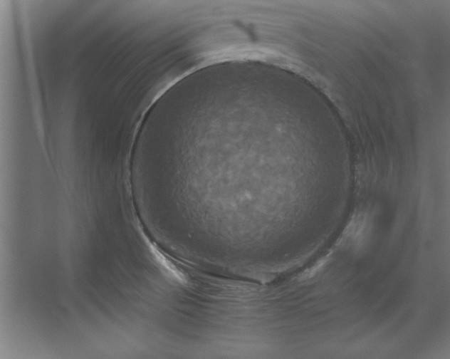 X0000072521521200607141144