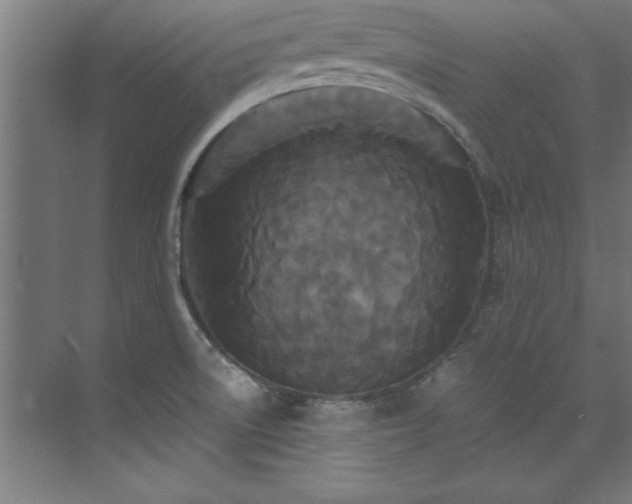 X0000072521522200607141145