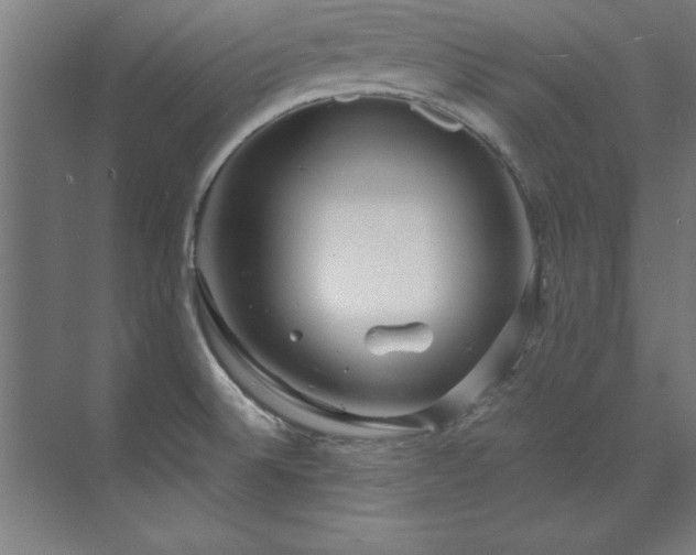 X0000072521524200607141145