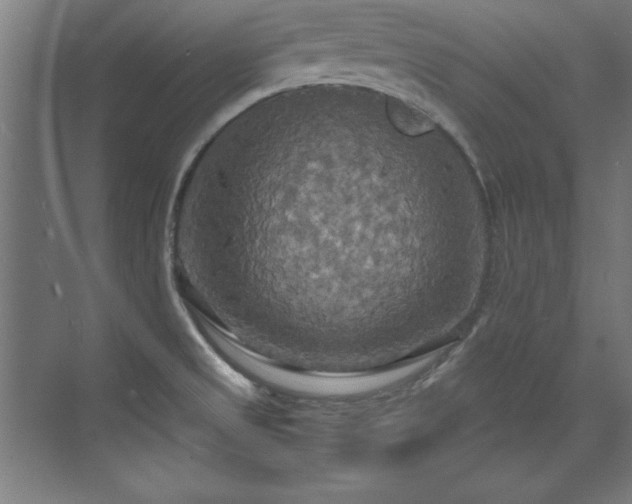 X0000072521525200607141145