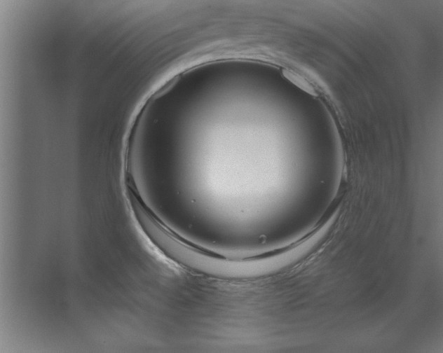 X0000072521528200607141145