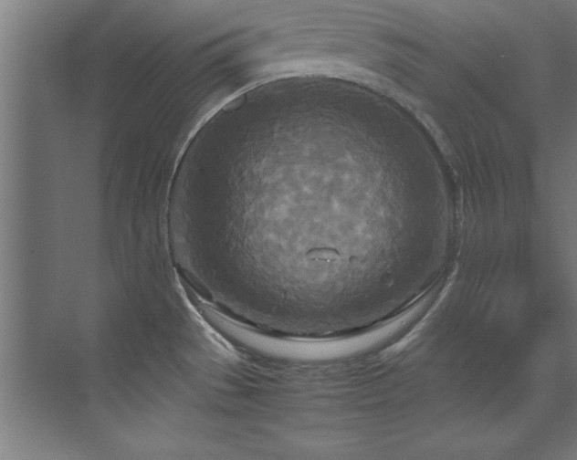 X0000072521529200607141145