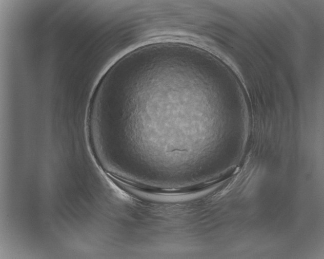 X0000072521533200607141145