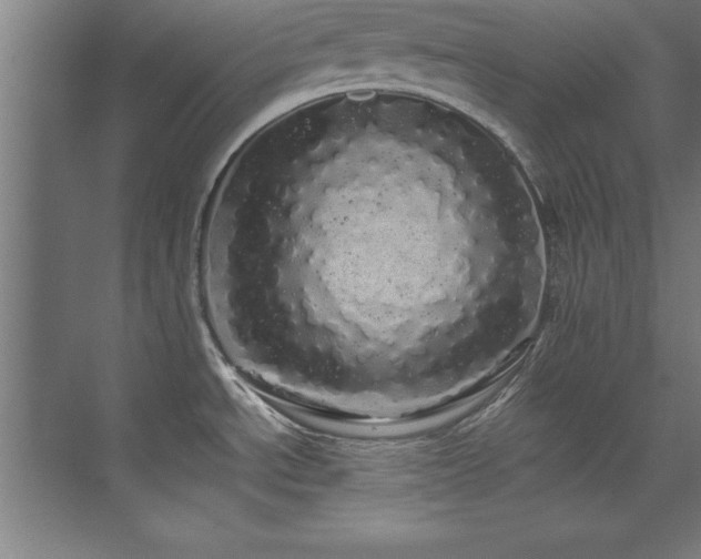 X0000072521534200607141145