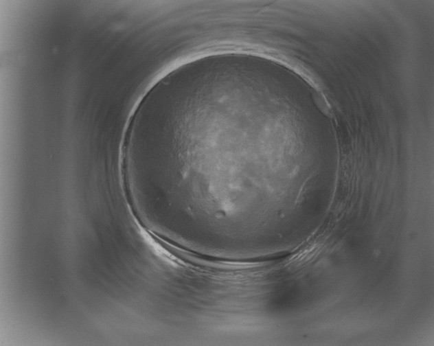 X0000072521535200607141145