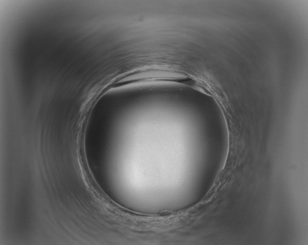 X0000072520001200607211435