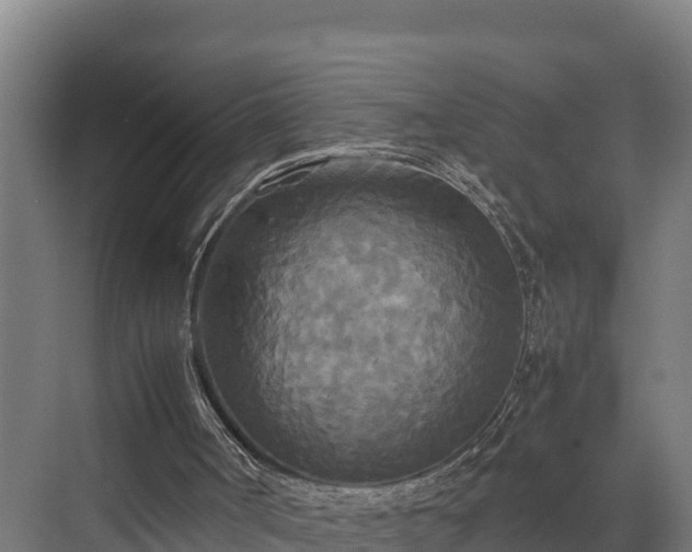 X0000072520002200607211435