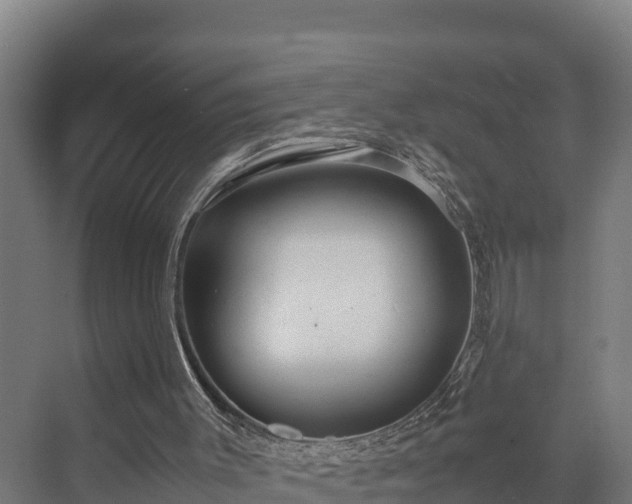 X0000072520003200607211435