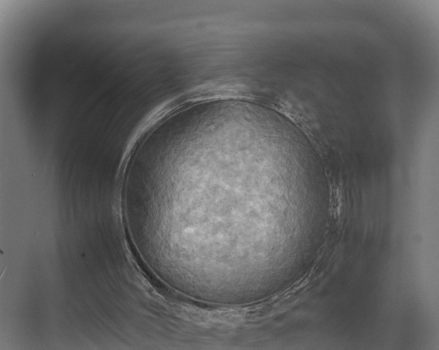 X0000072520004200607211435